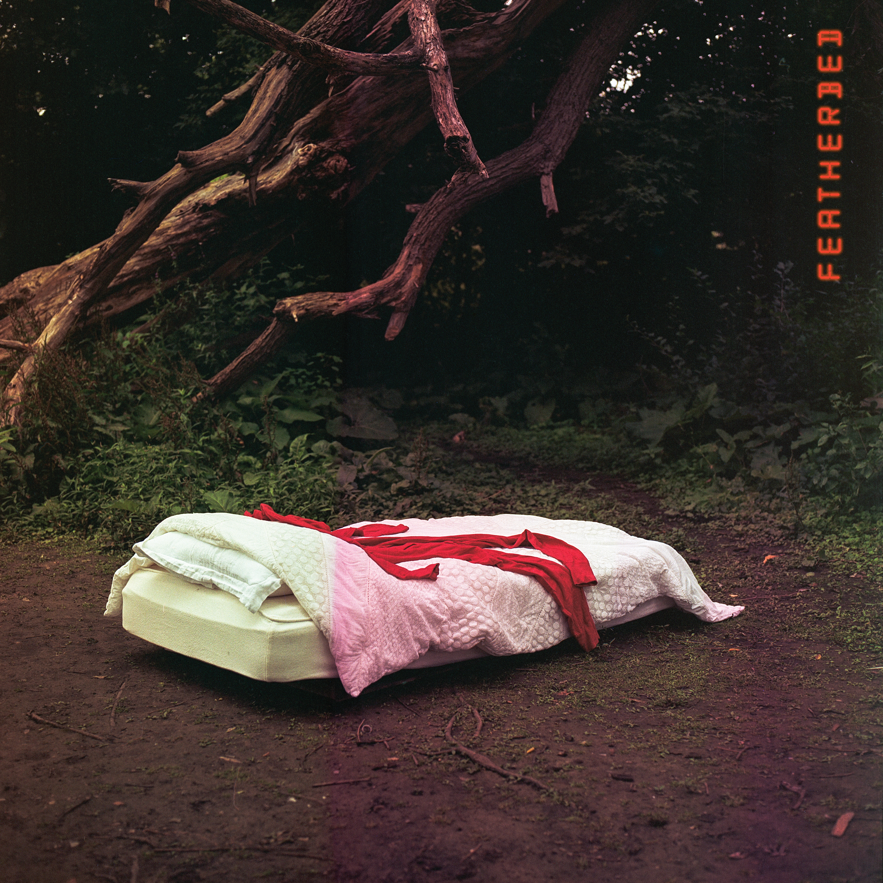 Featherbed artwork